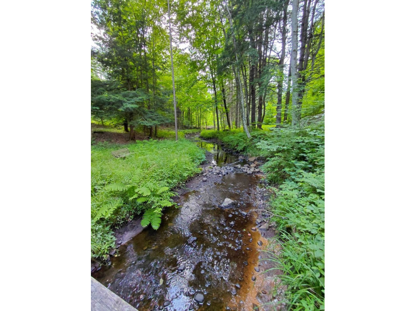 How cool is this!! 1.6 Acres of woods and privacy! You can get - photo 38