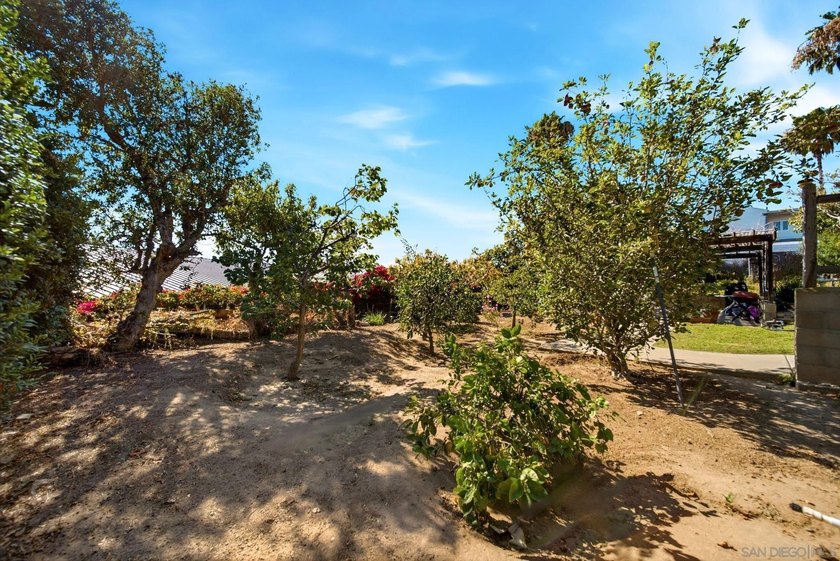 Coastal Encinitas, multi-family properties don't get more - photo 38