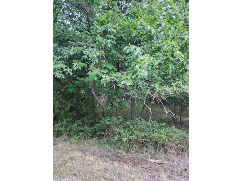 Here is your opportunity to have beautiful side-by-side building - photo 4