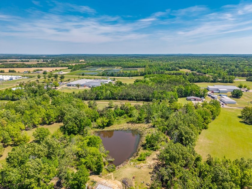 ?? Prime Land Opportunity - Noseff Dr, Batesville Discover the - photo 13