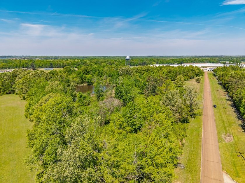?? Prime Land Opportunity - Noseff Dr, Batesville Discover the - photo 15