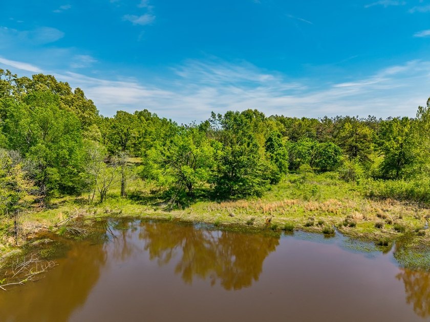 ?? Prime Land Opportunity - Noseff Dr, Batesville Discover the - photo 20