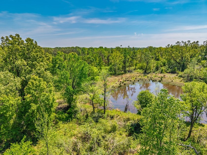 ?? Prime Land Opportunity - Noseff Dr, Batesville Discover the - photo 24