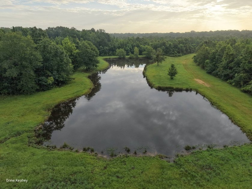 A 205+- acre sportsman's paradise and Southern Caldwell Parish - photo 33
