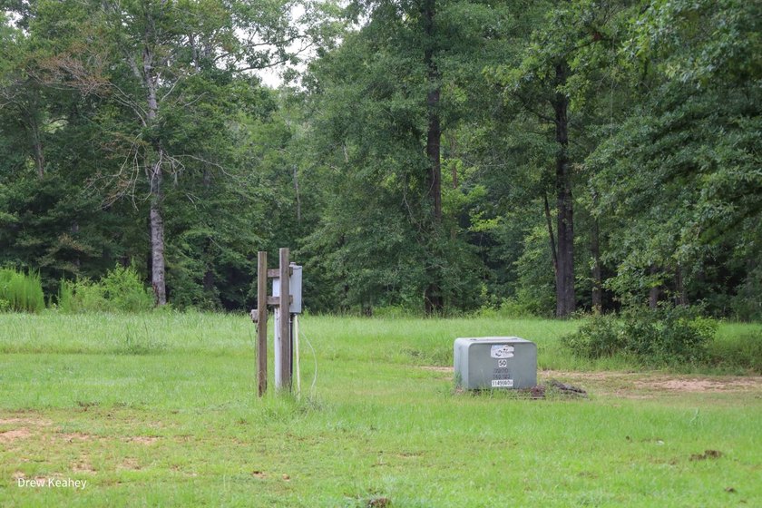 A 205+- acre sportsman's paradise and Southern Caldwell Parish - photo 42