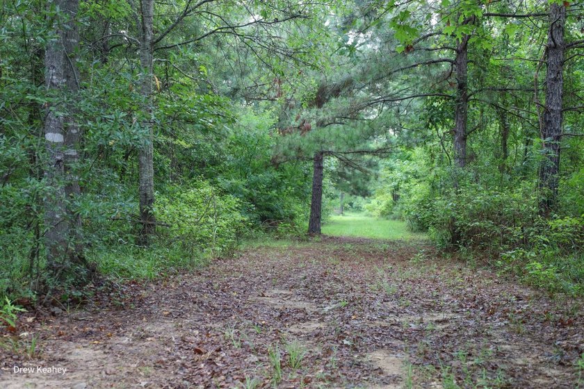 A 205+- acre sportsman's paradise and Southern Caldwell Parish - photo 50