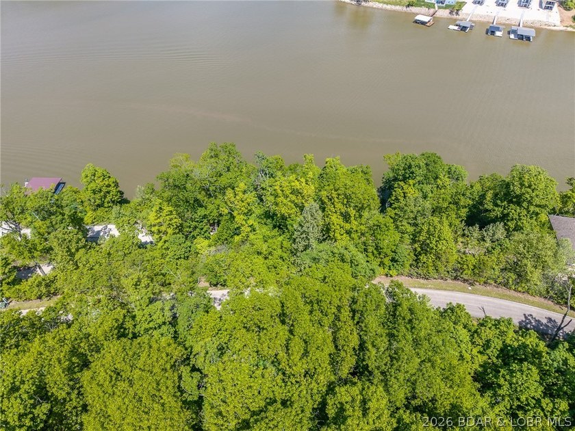 Lake of the Ozarks, lake front lot ready for you to build that - photo 11
