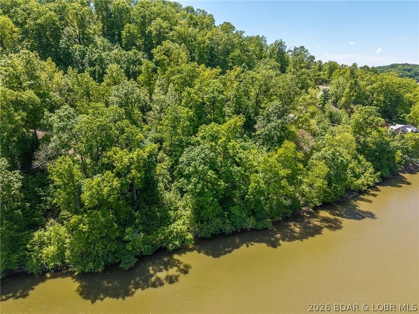 Lake of the Ozarks, lake front lot ready for you to build that - photo 17