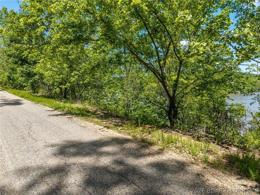Lake of the Ozarks, lake front lot ready for you to build that - photo 25
