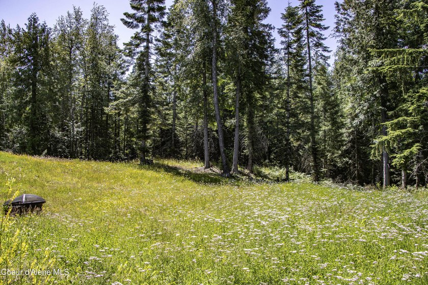 Privately sited on 5 acres with a beautiful mix of trees and - photo 35