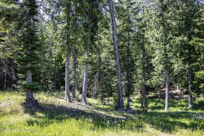 Privately sited on 5 acres with a beautiful mix of trees and - photo 43