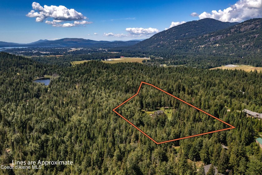 Privately sited on 5 acres with a beautiful mix of trees and - photo 44