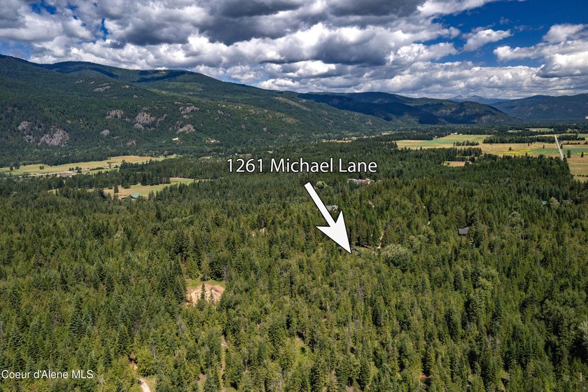 Privately sited on 5 acres with a beautiful mix of trees and - photo 47