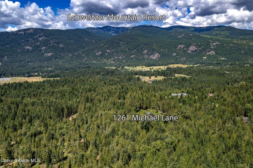 Privately sited on 5 acres with a beautiful mix of trees and - photo 50