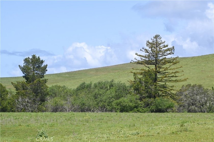 Calling all visionaries! This rare 140-acre property near the - photo 3