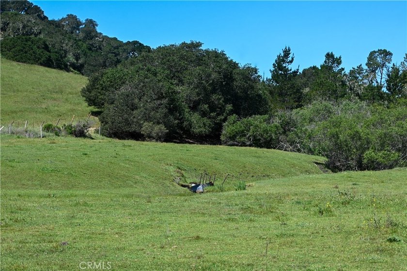 Calling all visionaries! This rare 140-acre property near the - photo 4