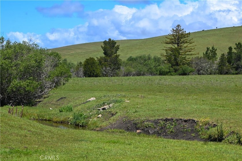 Calling all visionaries! This rare 140-acre property near the - photo 8