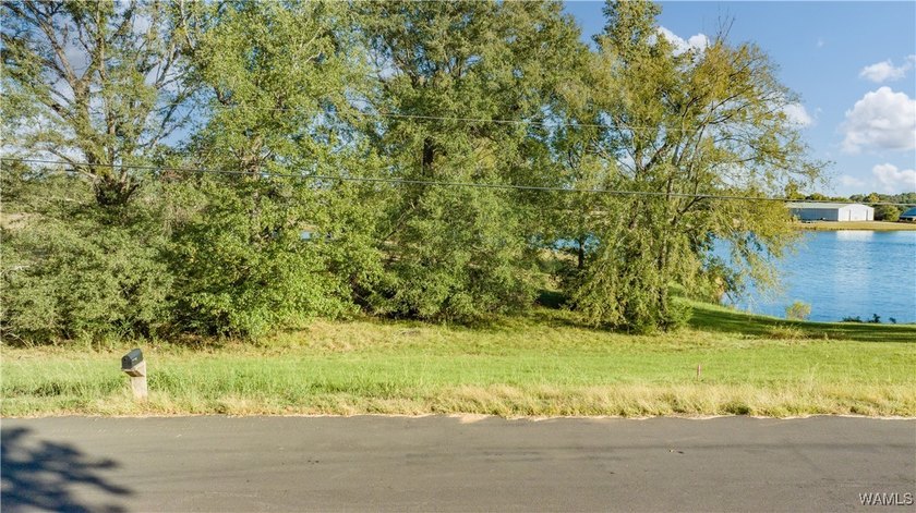Explore pristine, level waterfront lots in a top-rated school - photo 4