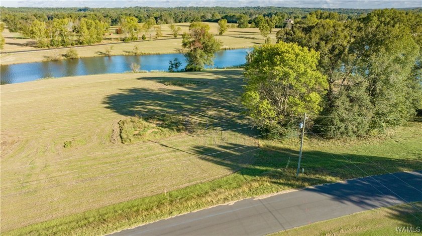 Explore pristine, level waterfront lots in a top-rated school - photo 7