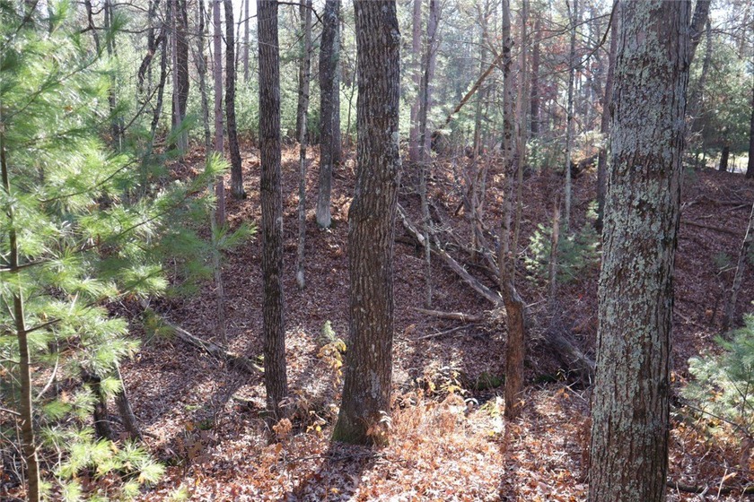 Looking for your next cabin? Look no more! Welcome to this - photo 14
