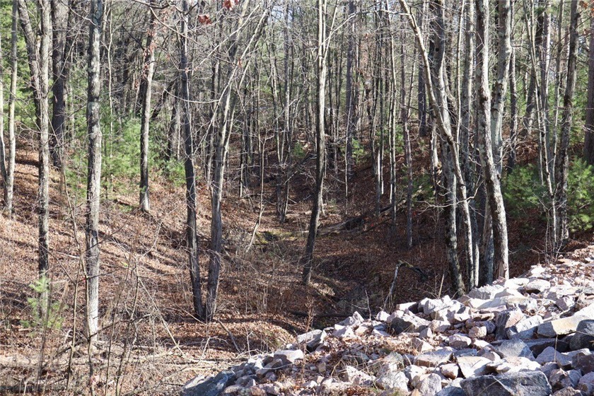 Looking for your next cabin? Look no more! Welcome to this - photo 18