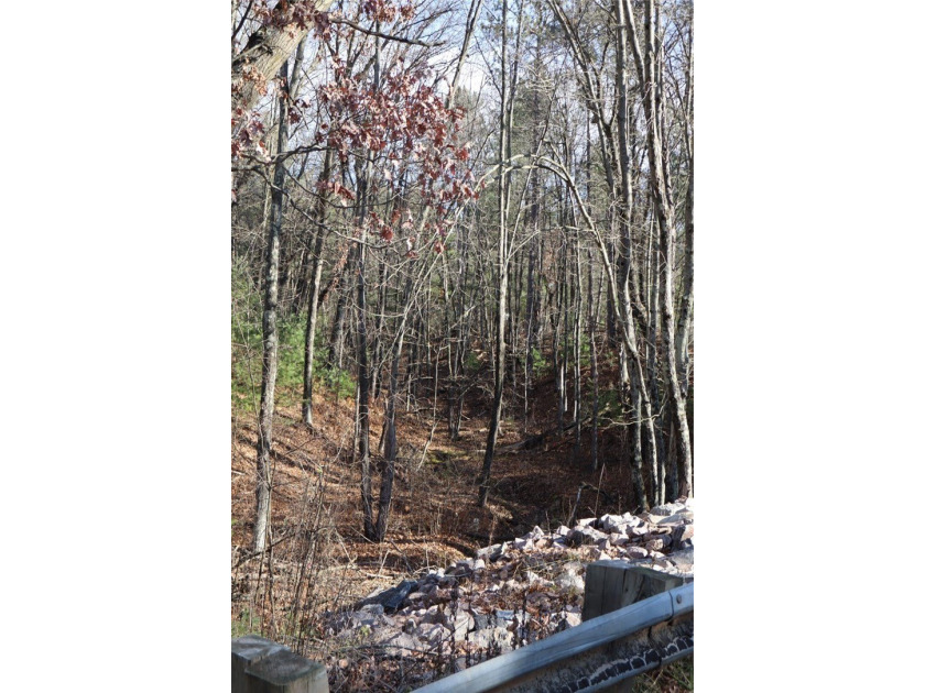Looking for your next cabin? Look no more! Welcome to this - photo 19
