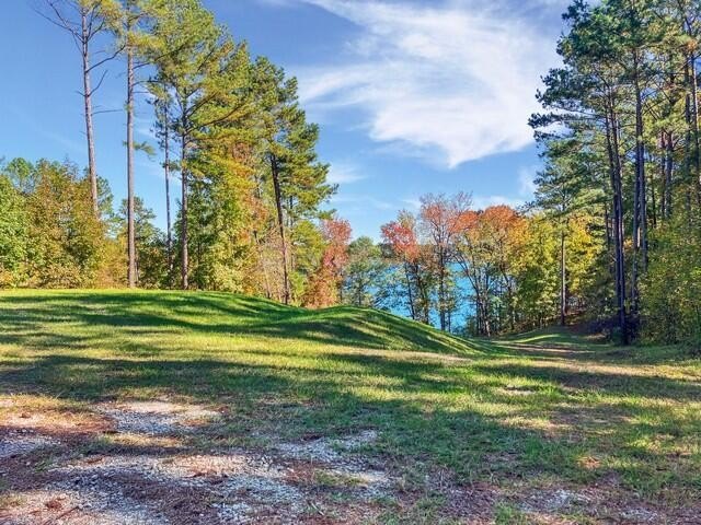 Build your dream lake home on this 1.14 acre private lake lot in - photo 14