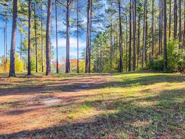 Build your dream lake home on this 1.14 acre private lake lot in - photo 15