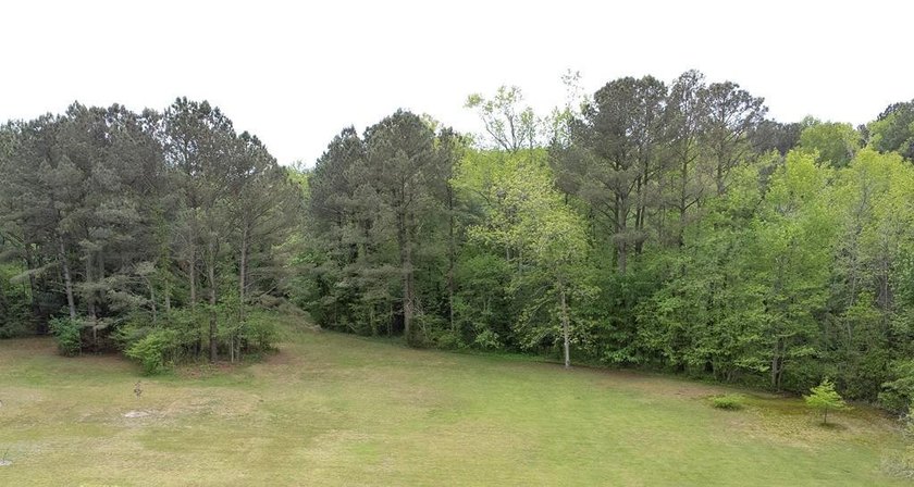 Enjoy a tranquil, private setting on this 0.92-acre lot - photo 2