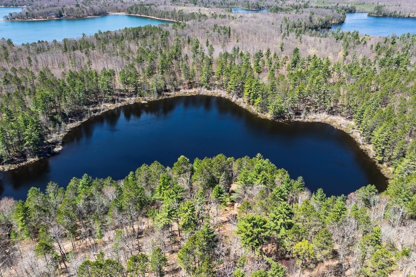Ultimate privacy on 80 wooded acres with your own private - photo 11