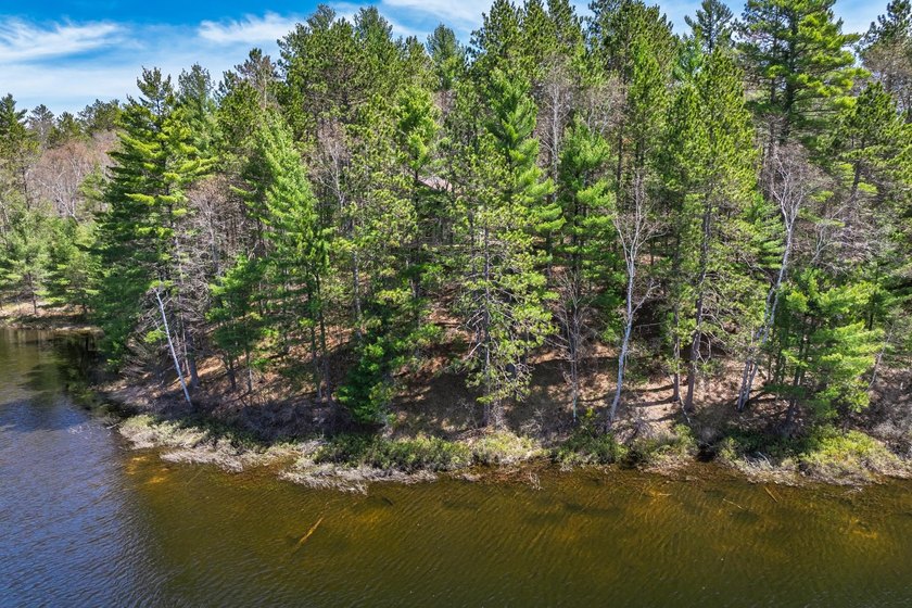 Ultimate privacy on 80 wooded acres with your own private - photo 12
