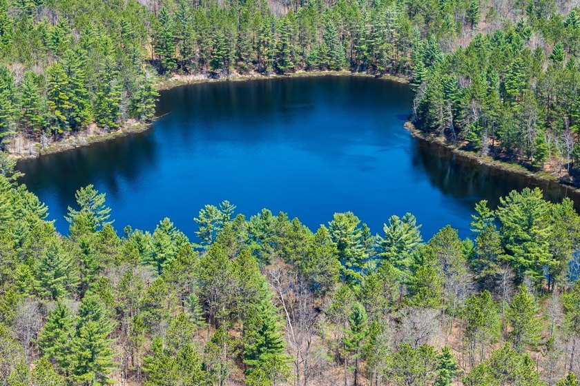 Ultimate privacy on 80 wooded acres with your own private - photo 14