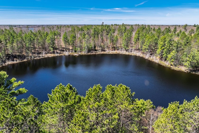 Ultimate privacy on 80 wooded acres with your own private - photo 29