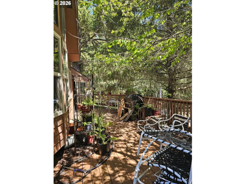 Welcome to Whaleshead Beach Resort! This spacious cabin offers - photo 13