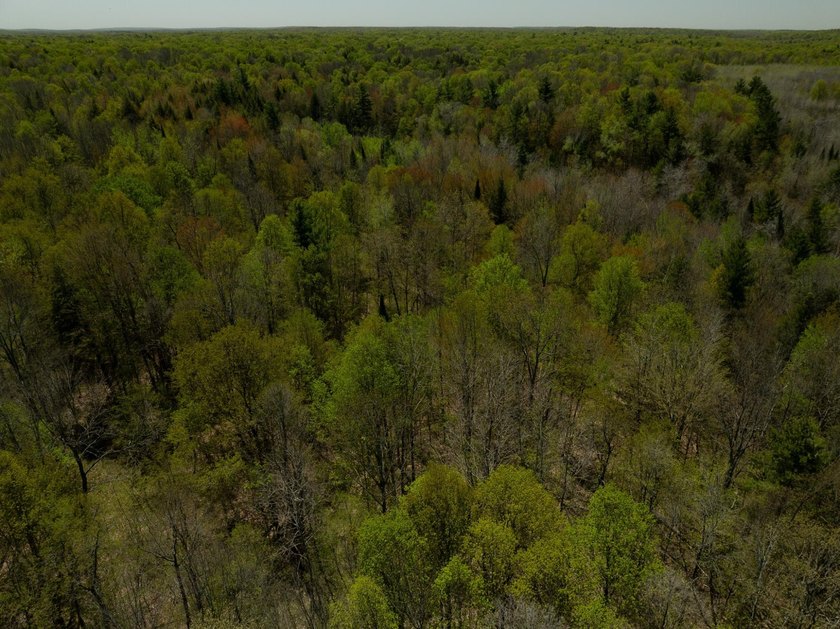 Amazing custom built home on 40 wooded acres near White Lake in - photo 49