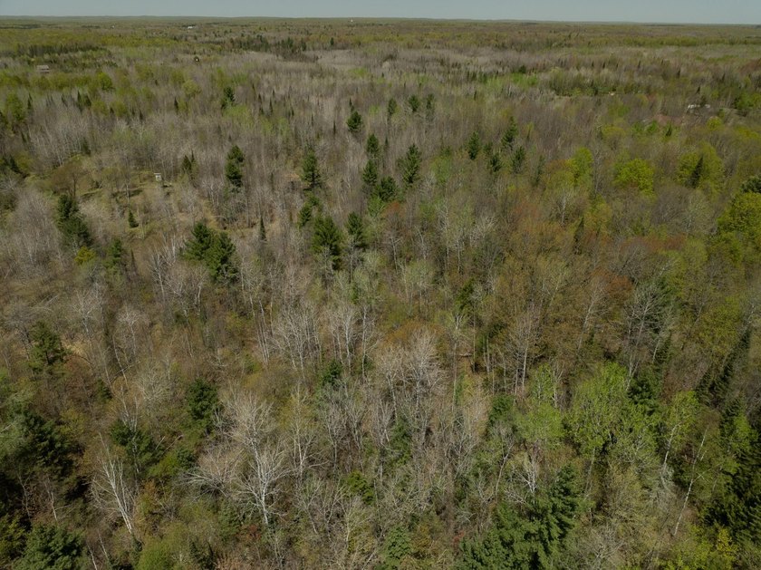 Amazing custom built home on 40 wooded acres near White Lake in - photo 50