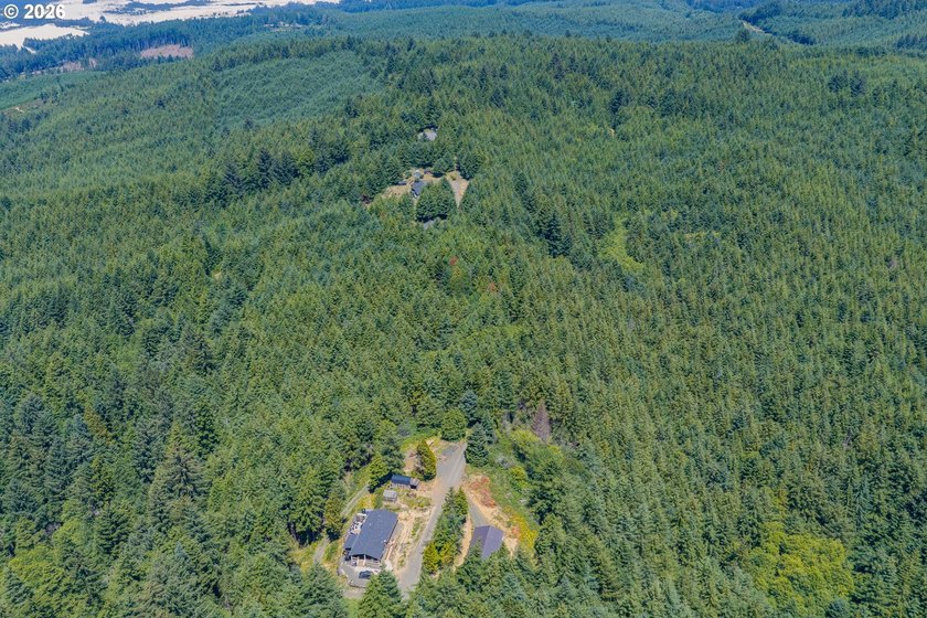 Rare opportunity to own just under 10 acres of Oregon Coast - photo 2