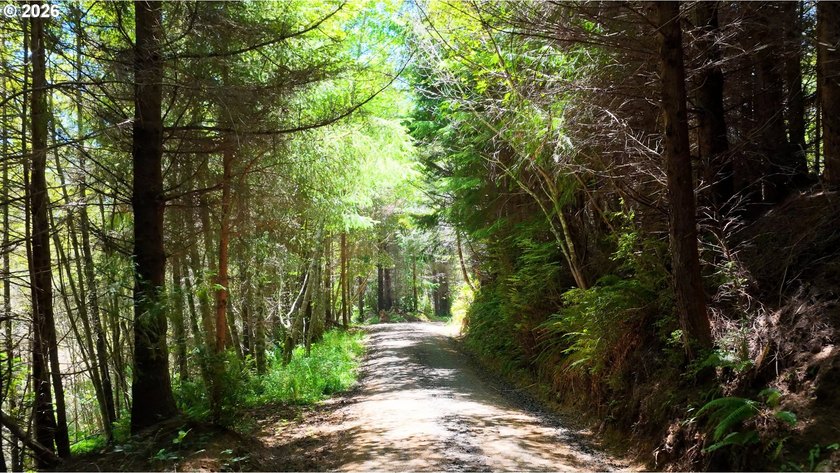 Rare opportunity to own just under 10 acres of Oregon Coast - photo 3