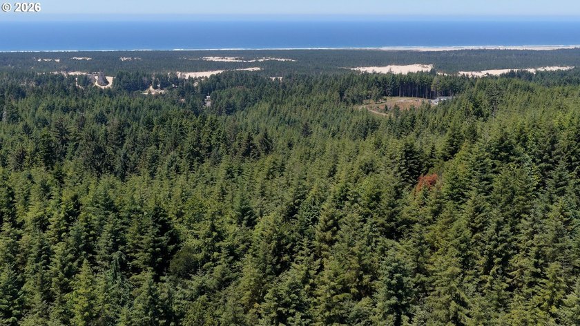 Rare opportunity to own just under 10 acres of Oregon Coast - photo 5