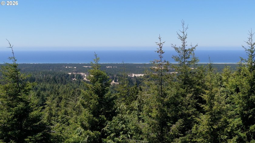Rare opportunity to own just under 10 acres of Oregon Coast - photo 6
