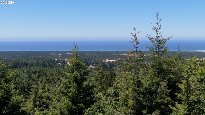 Rare opportunity to own just under 10 acres of Oregon Coast - photo 8
