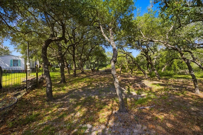 Your Next Cash-Flow Cutie in the Coastal Bend. Tucked at the end - photo 13