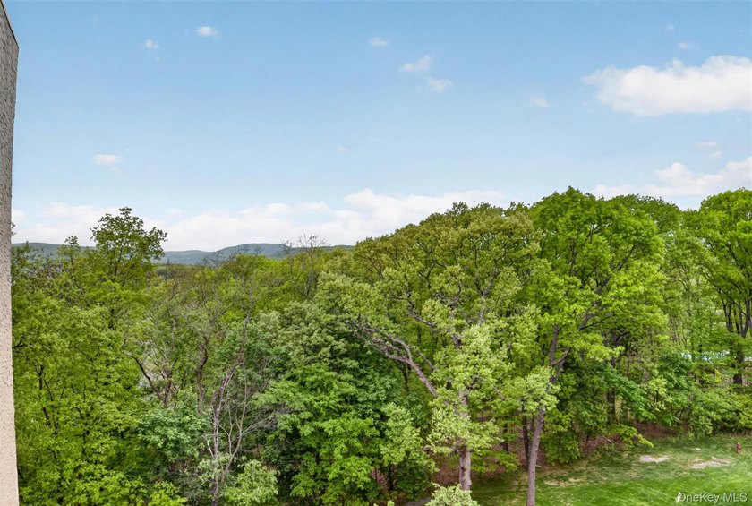 Welcome to River House, where scenic beauty meets everyday - photo 23