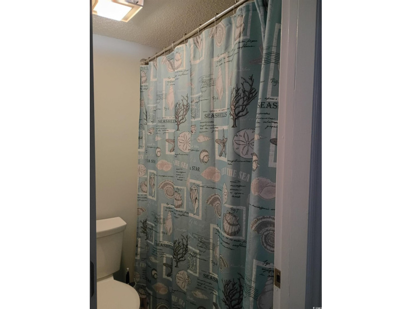 Welcome to this spacious 2 Bed 2 bath with modern updates and - photo 36