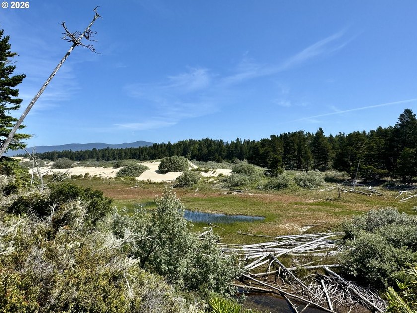 Build your dream home on this beautiful 1.74-acre flag lot in - photo 6