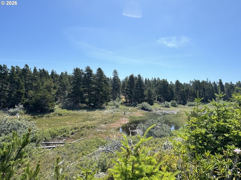Build your dream home on this beautiful 1.74-acre flag lot in - photo 7