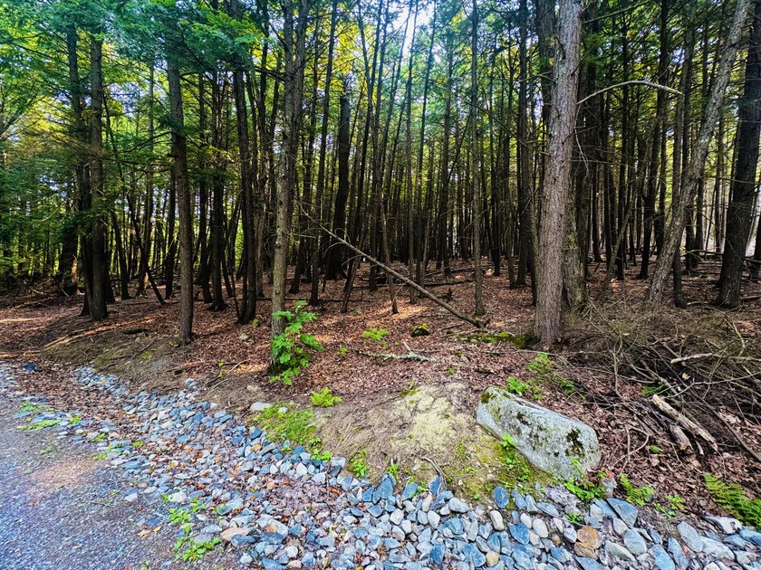 Located in a quiet lake community, this serene 1.02 acre parcel - photo 2