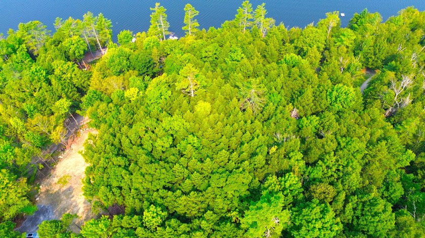 Located in a quiet lake community, this serene 1.02 acre parcel - photo 7