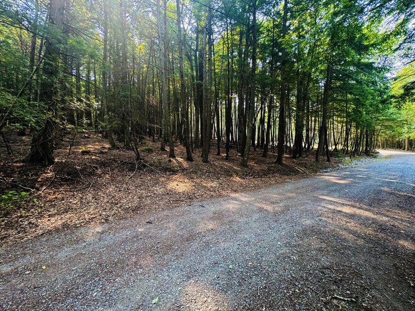 Located in a quiet lake community, this serene 1.02 acre parcel - photo 8
