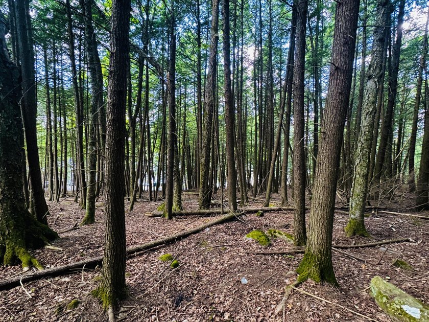 Located in a quiet lake community, this serene 1.02 acre parcel - photo 9